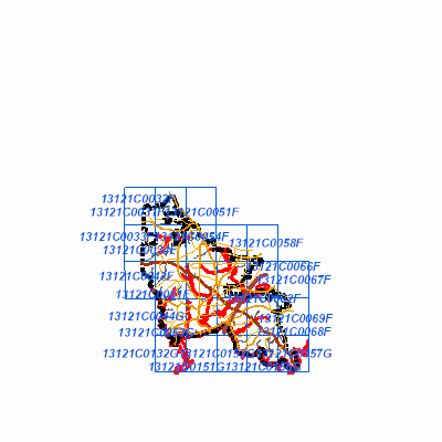 Export Image